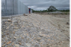 Picture11