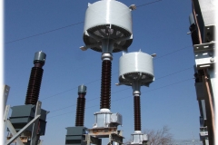 Picture30